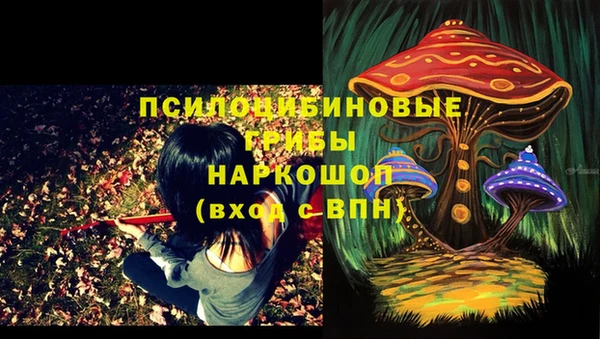spice Протвино